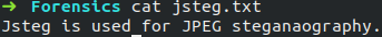 Jsteg is used for JPEG steganography.